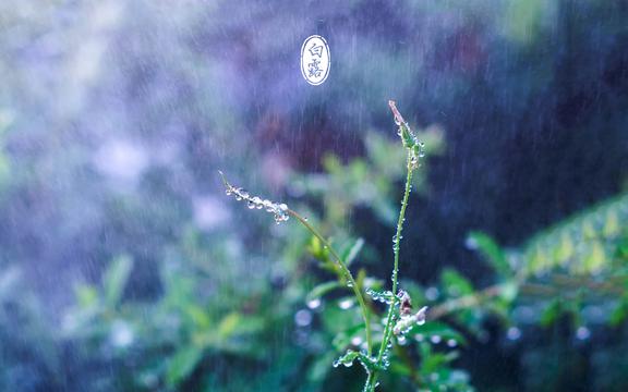 二十四节气白露