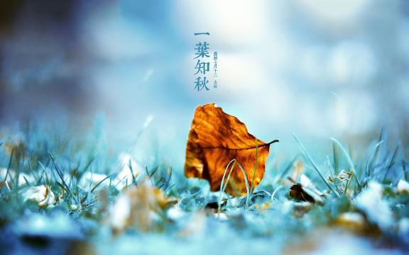 二十四节气立秋唯美自然风光
