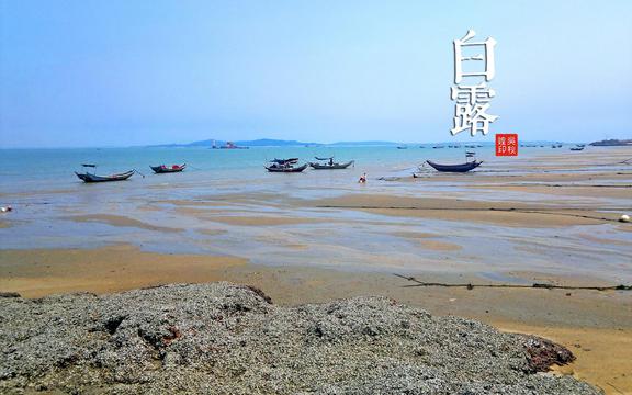 24节气白露景色