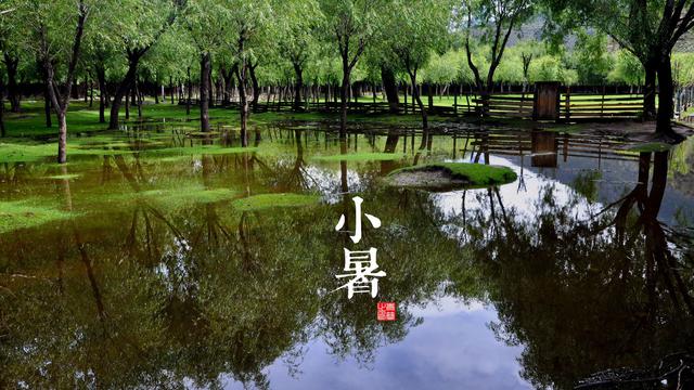 迷人的小暑节气