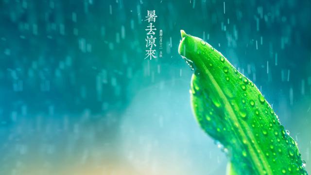 二十四节气之立秋