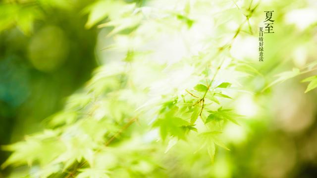 自然美景夏至风情