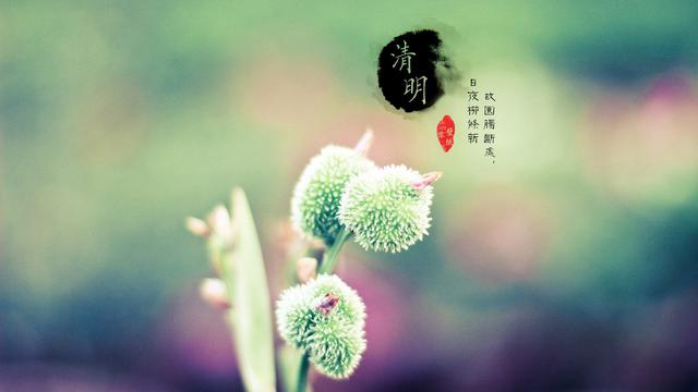 唯美二十四节气之清明