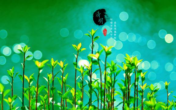 24节气清明景色迷人