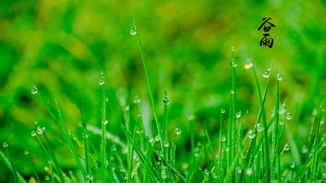 二十四传统节气谷雨
