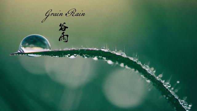 谷雨:春季的最后一个节气