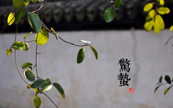 24节气惊蛰