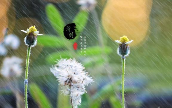 24节气清明
