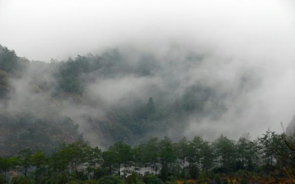 武夷山雨景