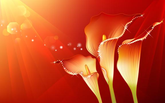 精美花纹炫彩效果图【三】