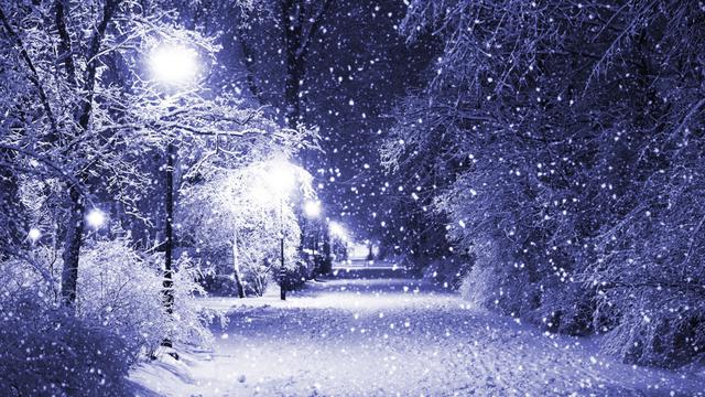 雪景