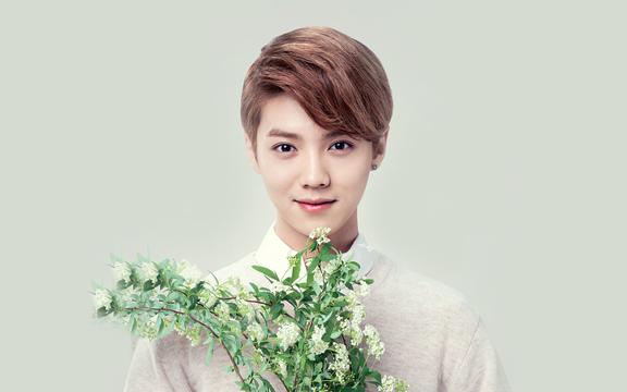 花样美男鹿晗