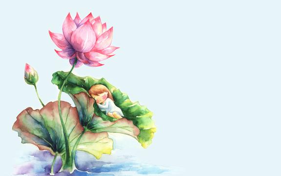 精美手绘荷花
