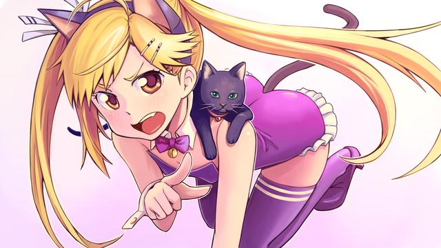 猫恋