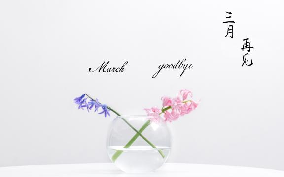 不负时光不负己,三月明年再见