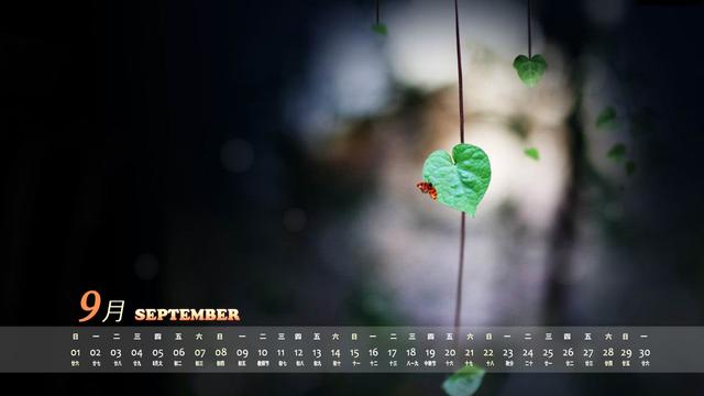2013年9月lomo日历