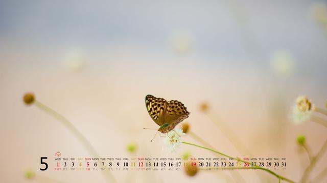 2013年5月份唯美浪漫风景日历