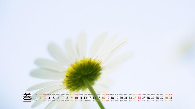 2013年3月月历