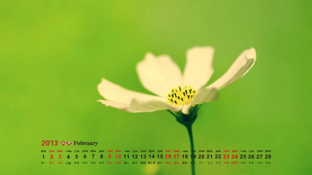 2013年2月月历