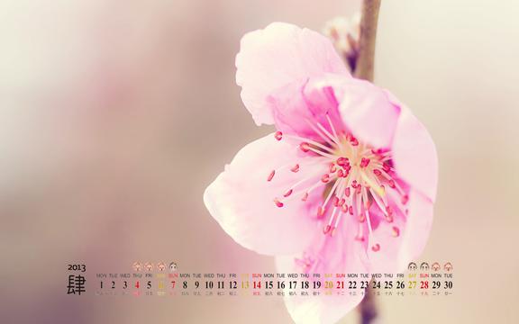春天的使者2013年4月日历