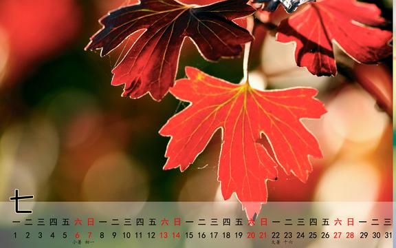 2013年7月清新清爽风景日历