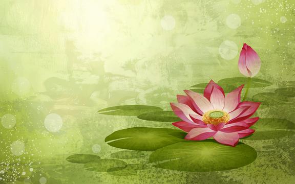 五彩缤纷的花卉合成效果图【一】