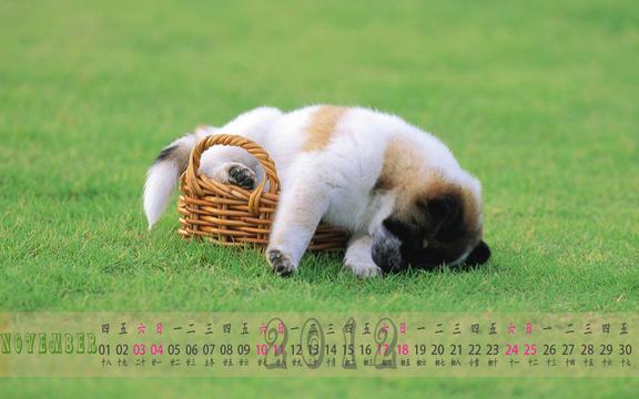2012年11月月历