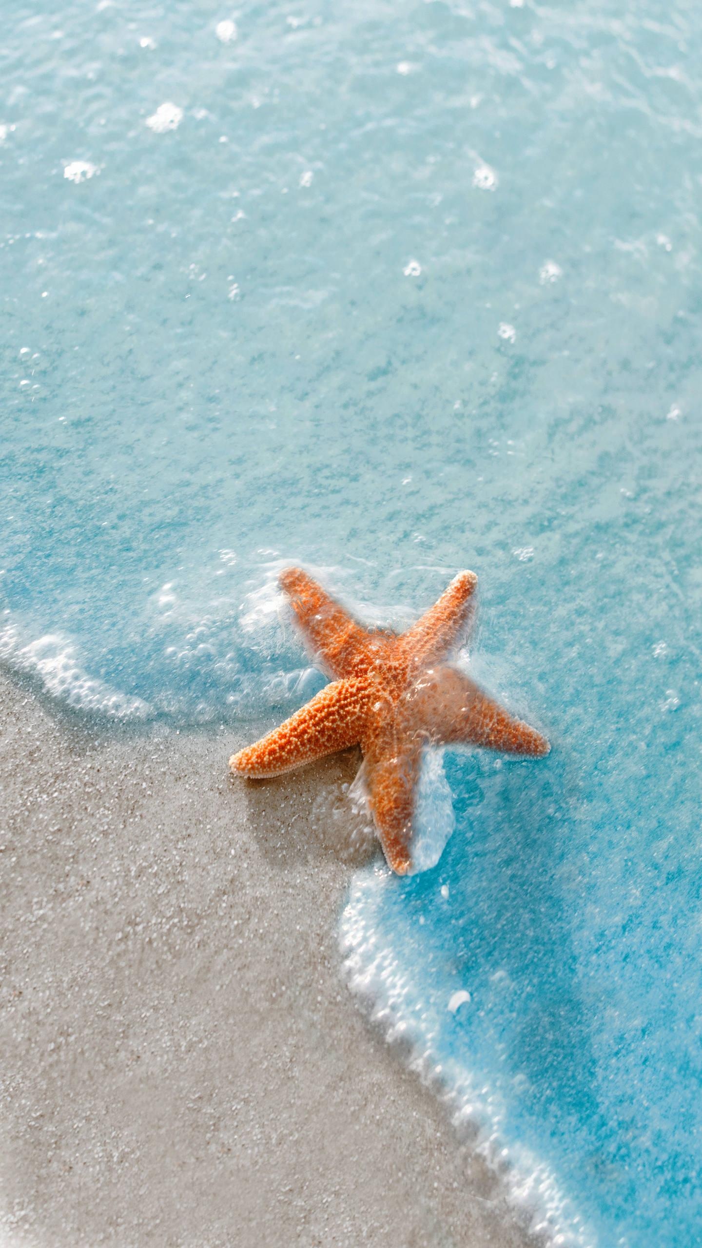 海洋之歌