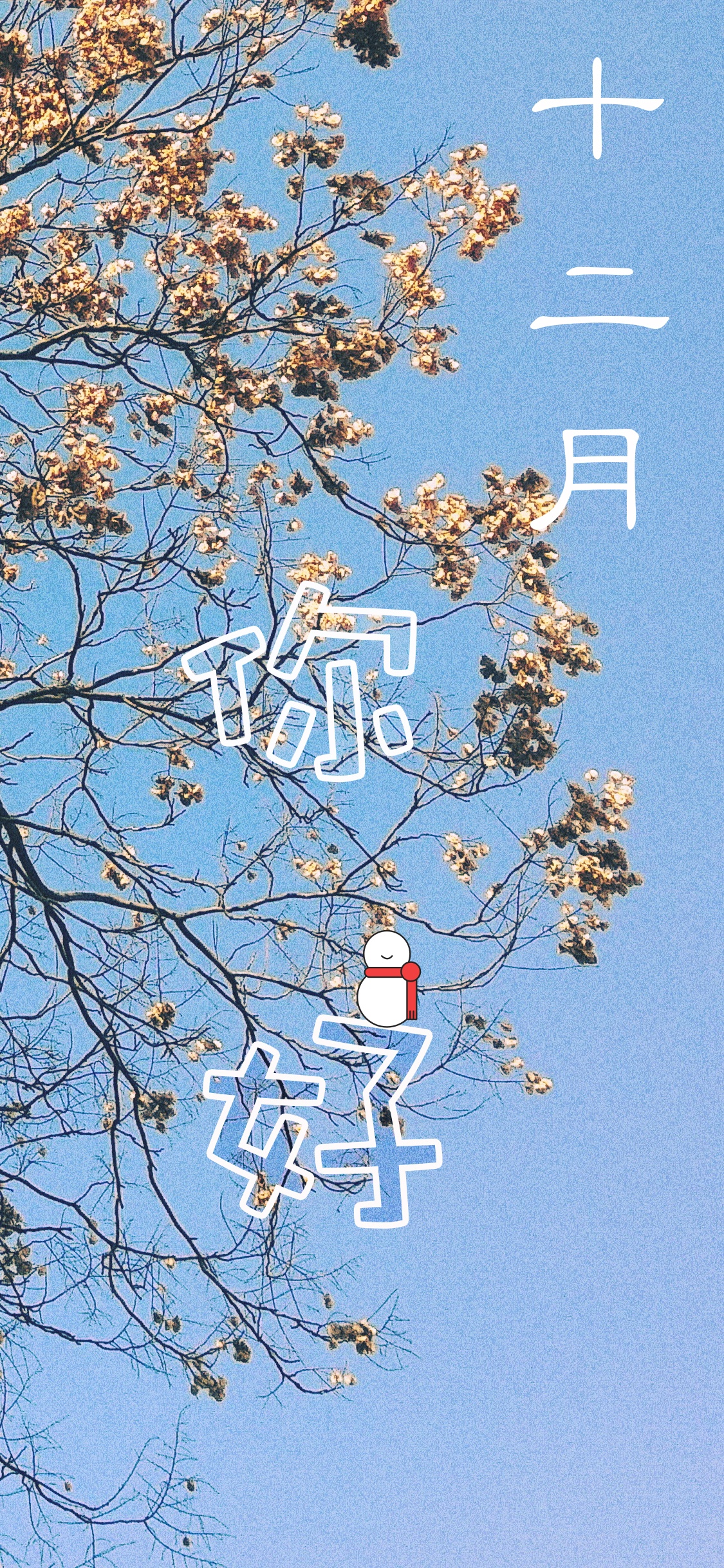 十二月的第一天
