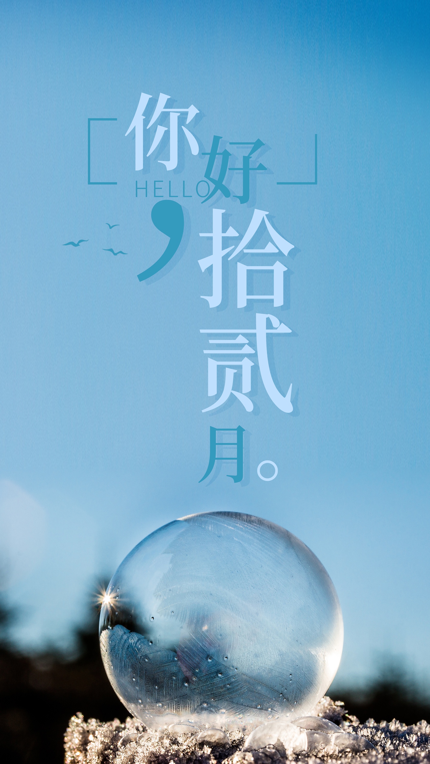 你好,拾贰月