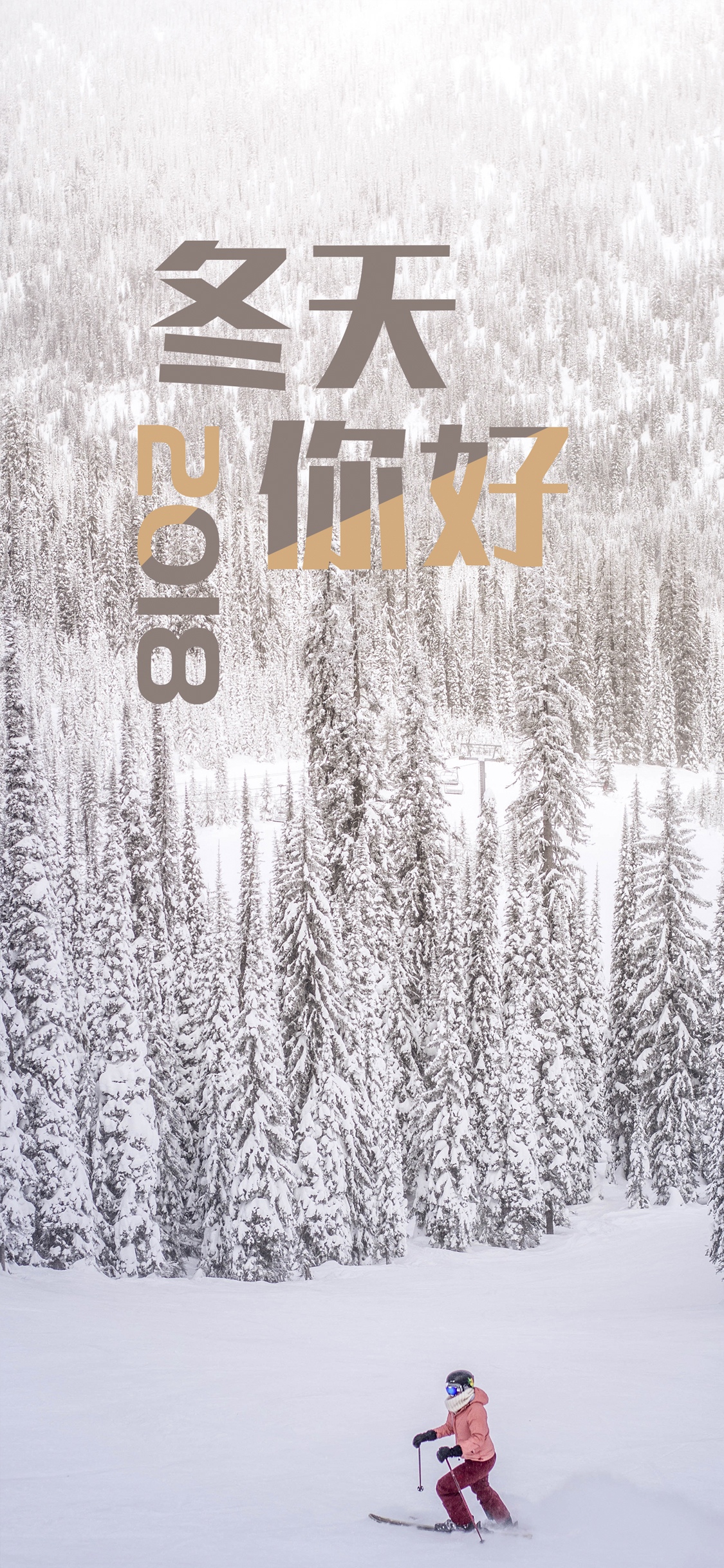 天苍苍 野茫茫