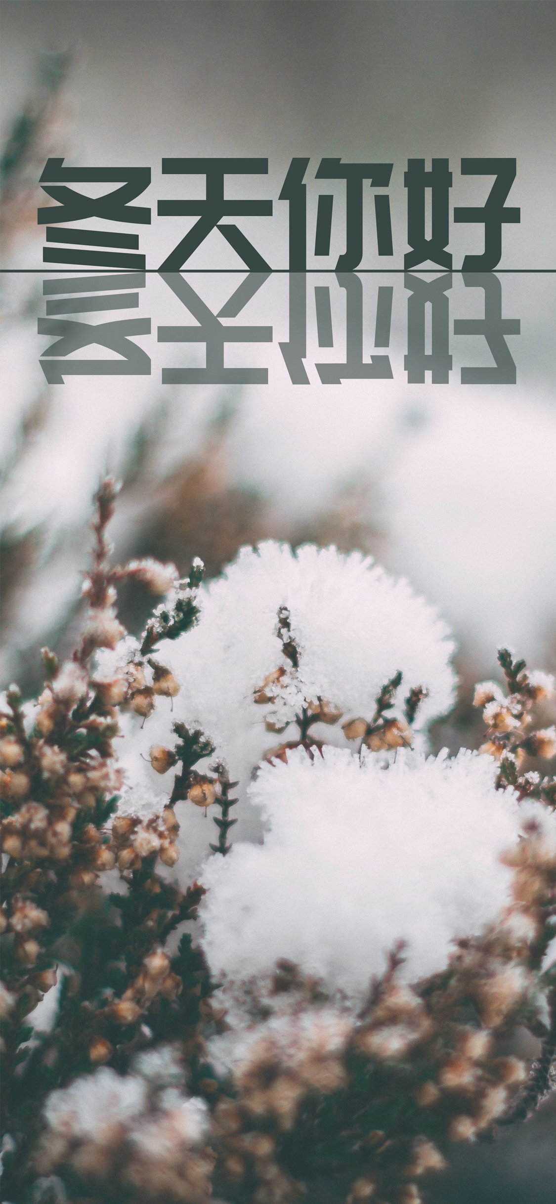 冬季又来到