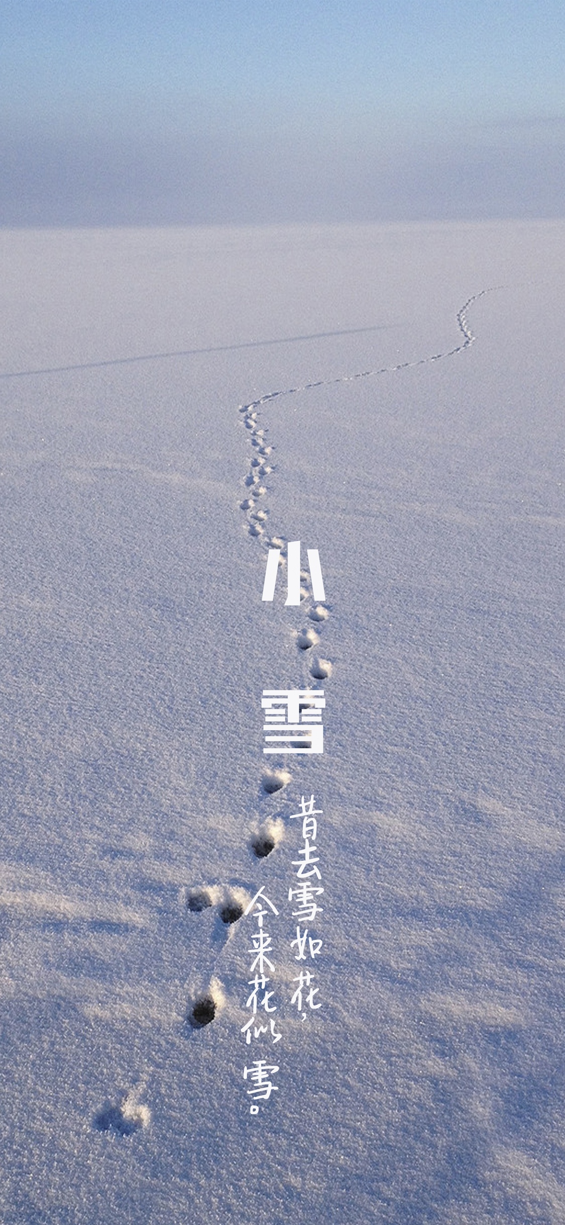 昔去雪如花 今来花似雪