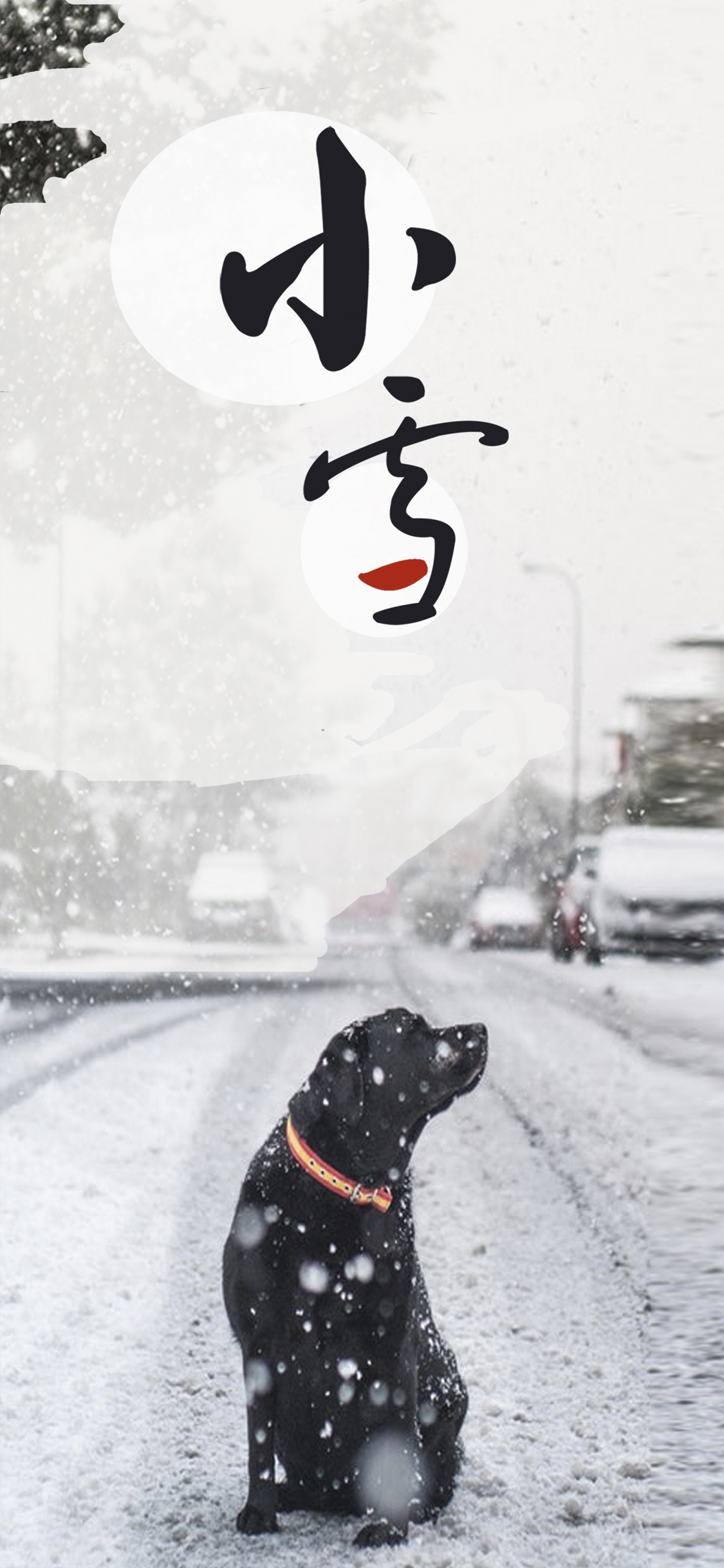抬头望见漫漫雪花飘