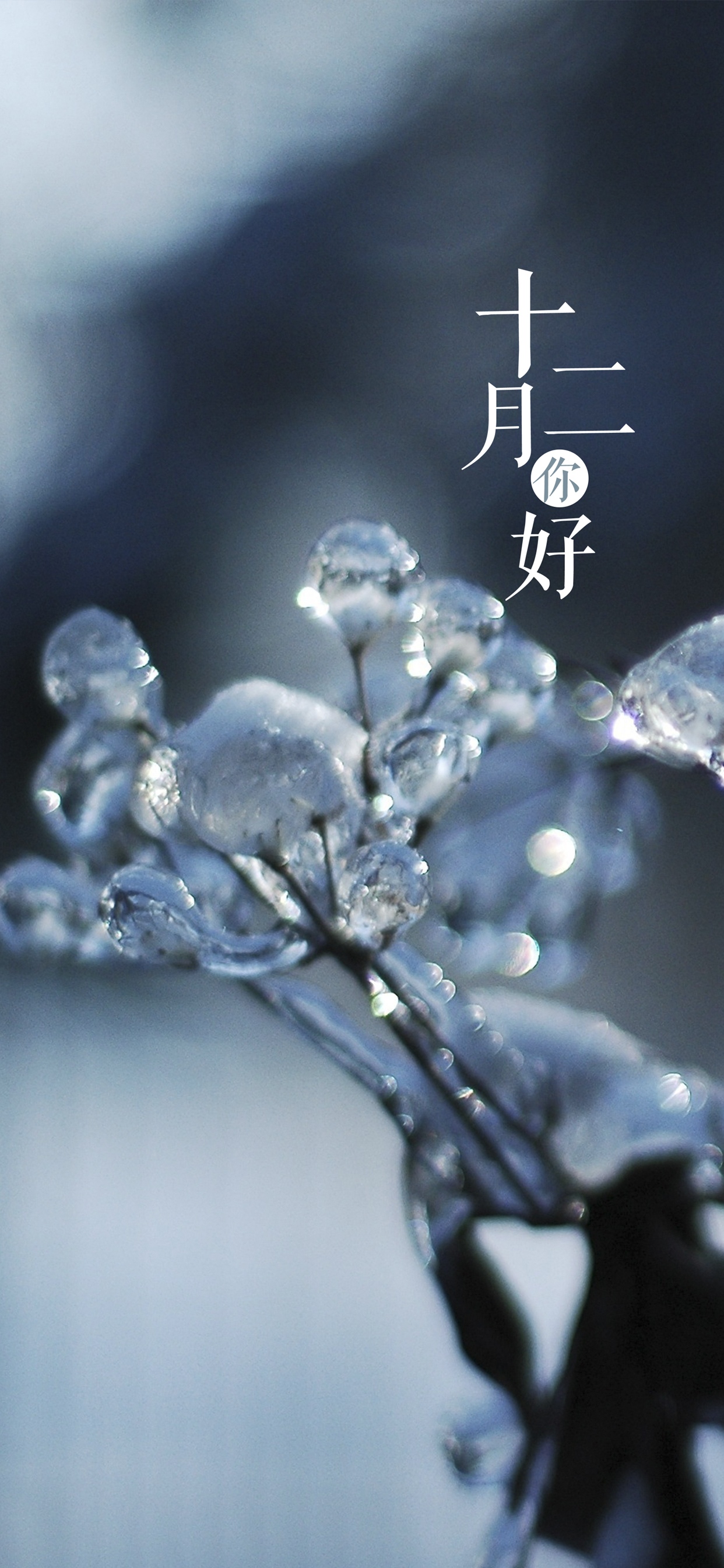 再见十一月,十二月你好