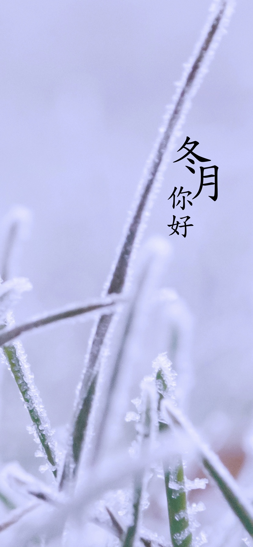 十一月又称冬月