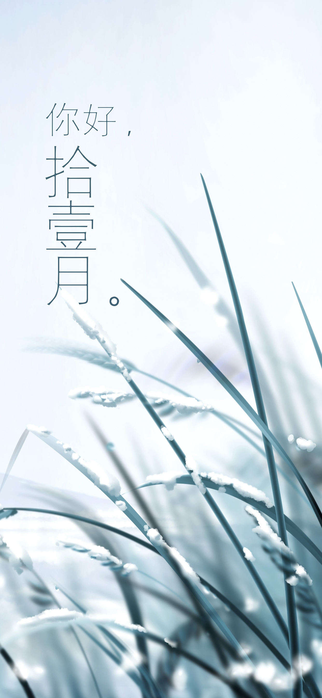 天,试探性地降下一场寒霜
