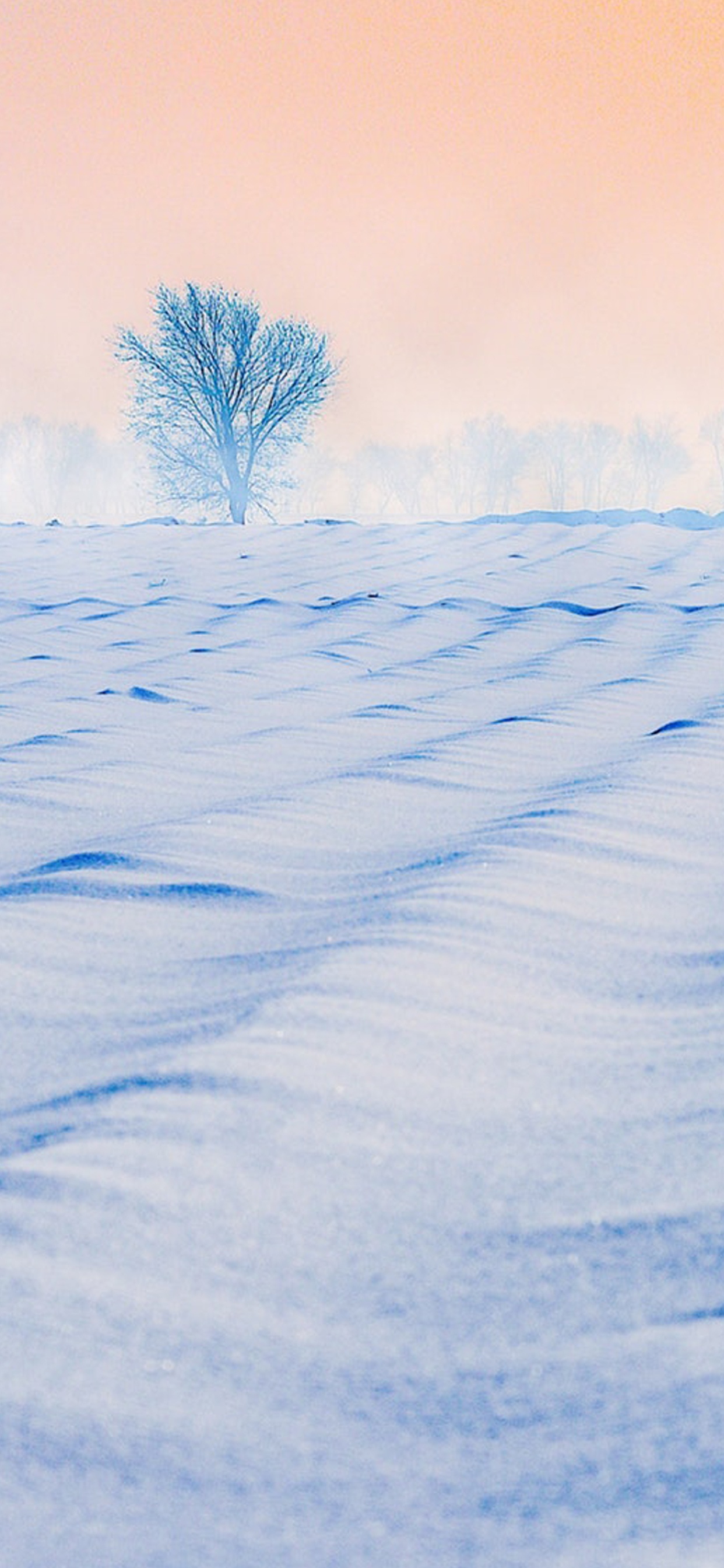 雪景美如童话世界