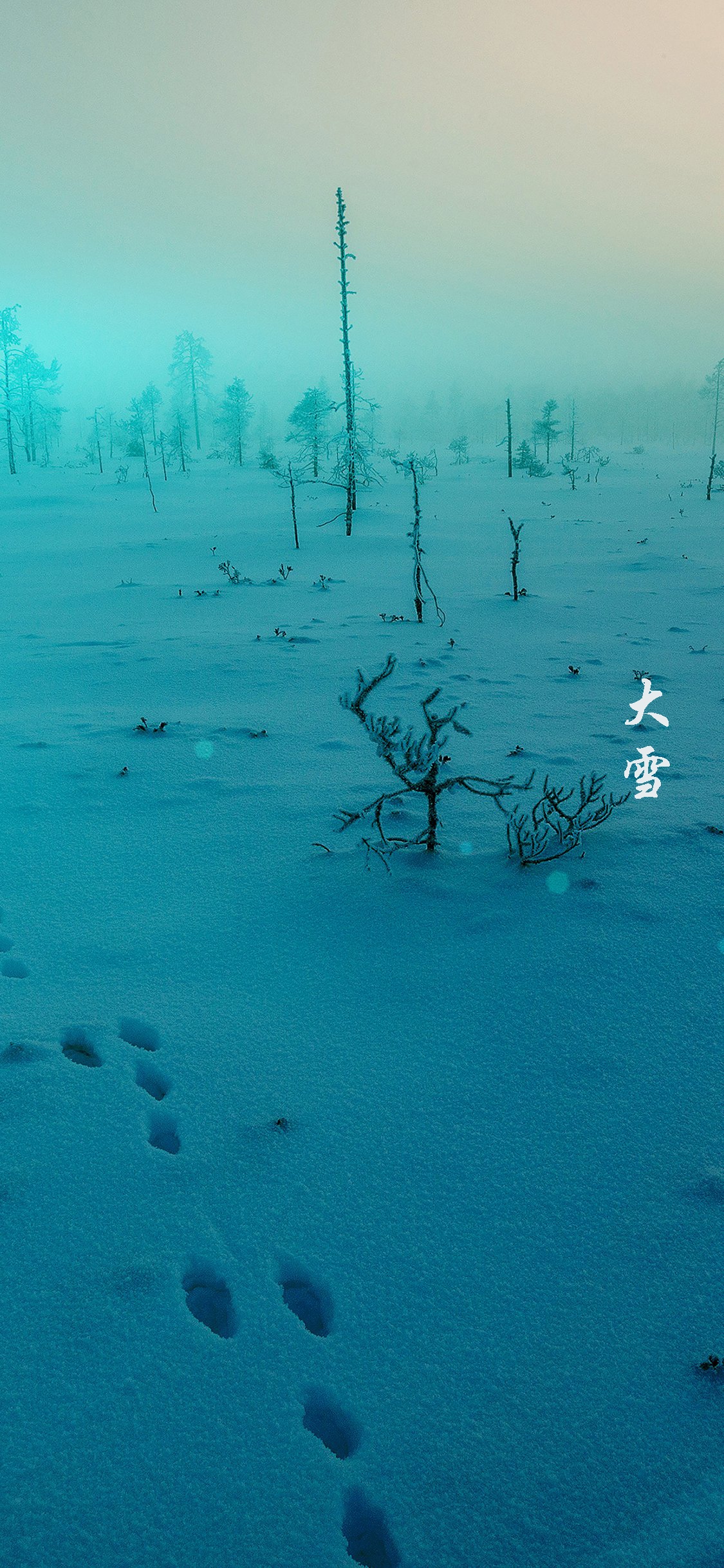 厚厚的积雪