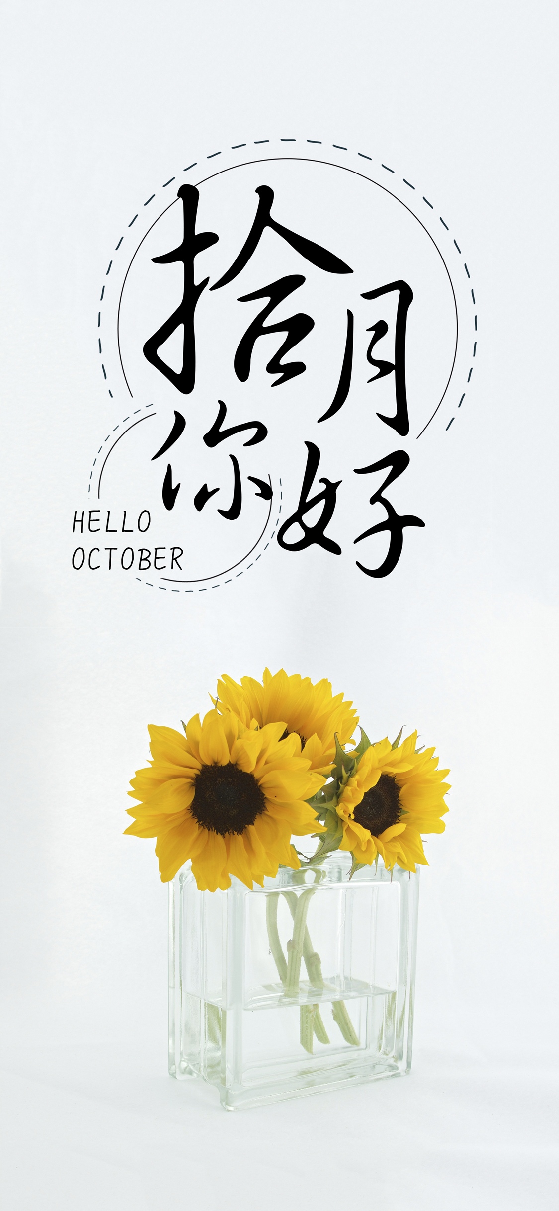 十月你好/小清新向日葵花语