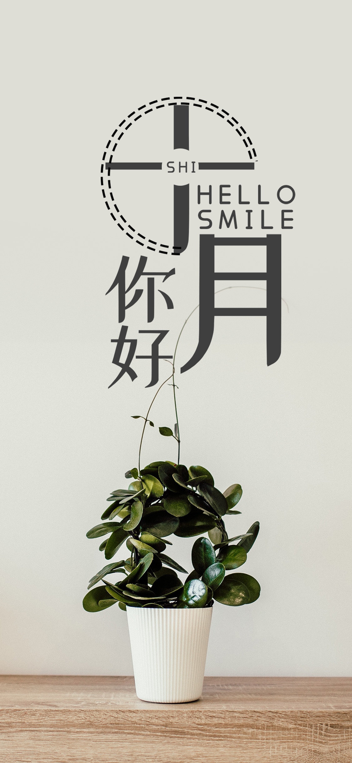 十月你好/小清新文艺范盆栽