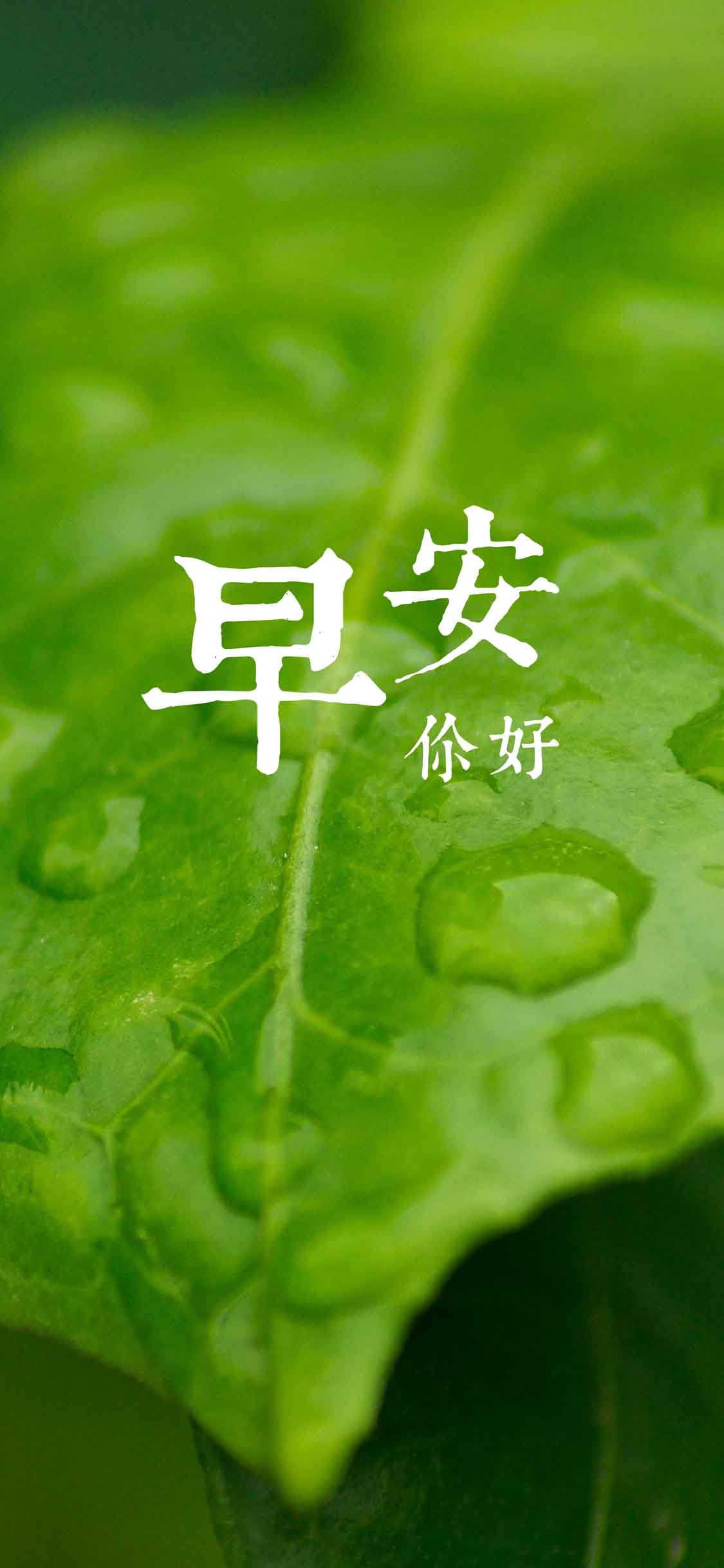 早安/今天是一个崭新的开始