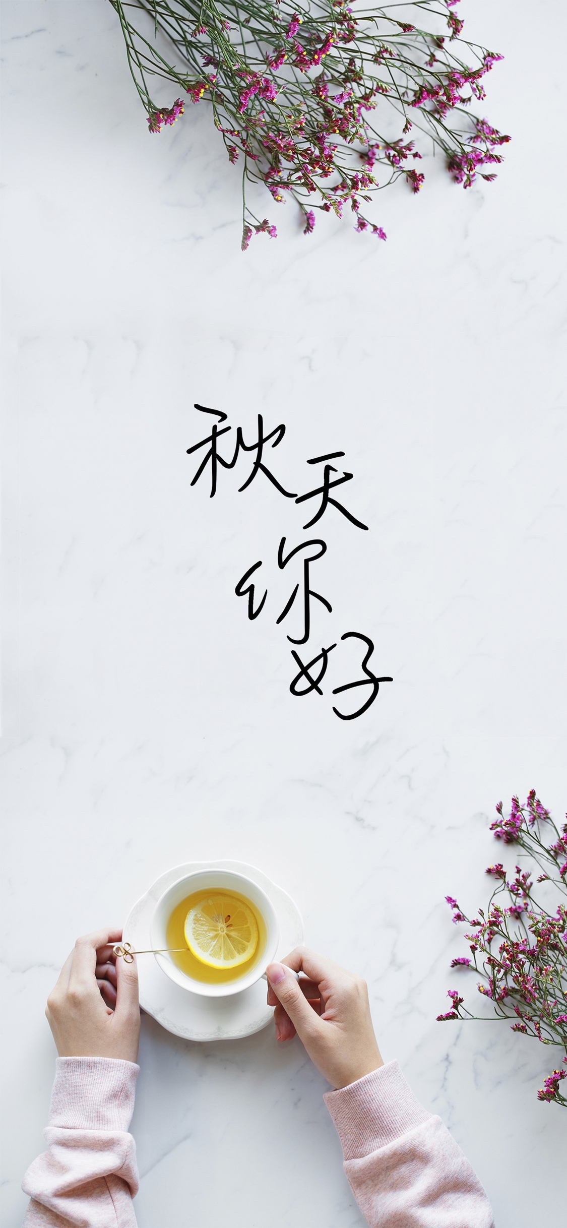 秋天你好养生茶文艺插画