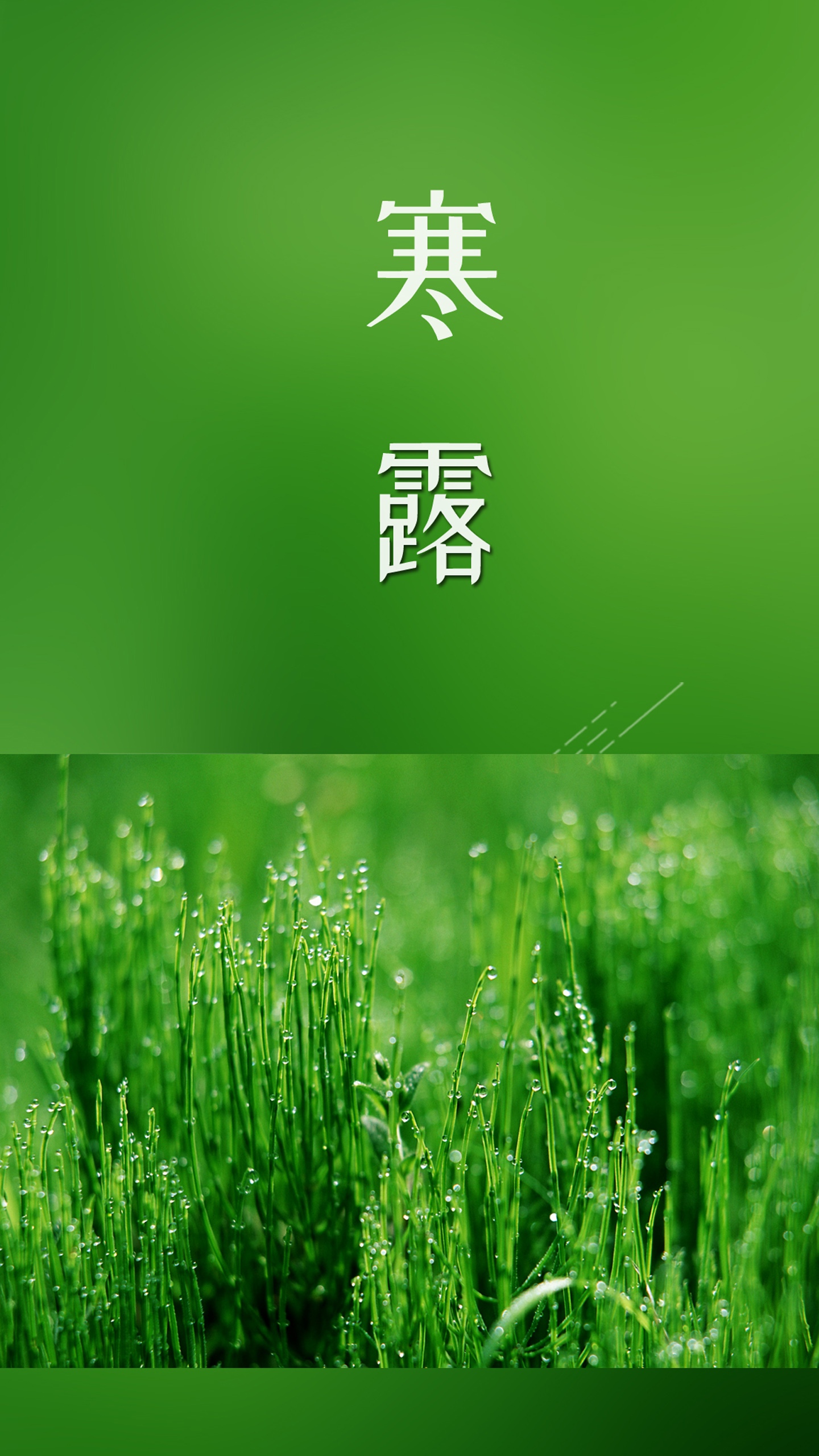 寒露的时候露水