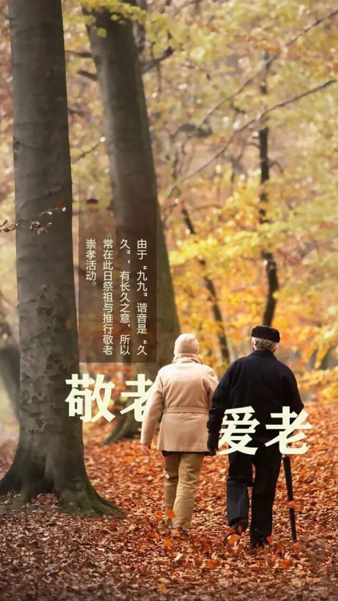 岁岁重阳，今又重阳
