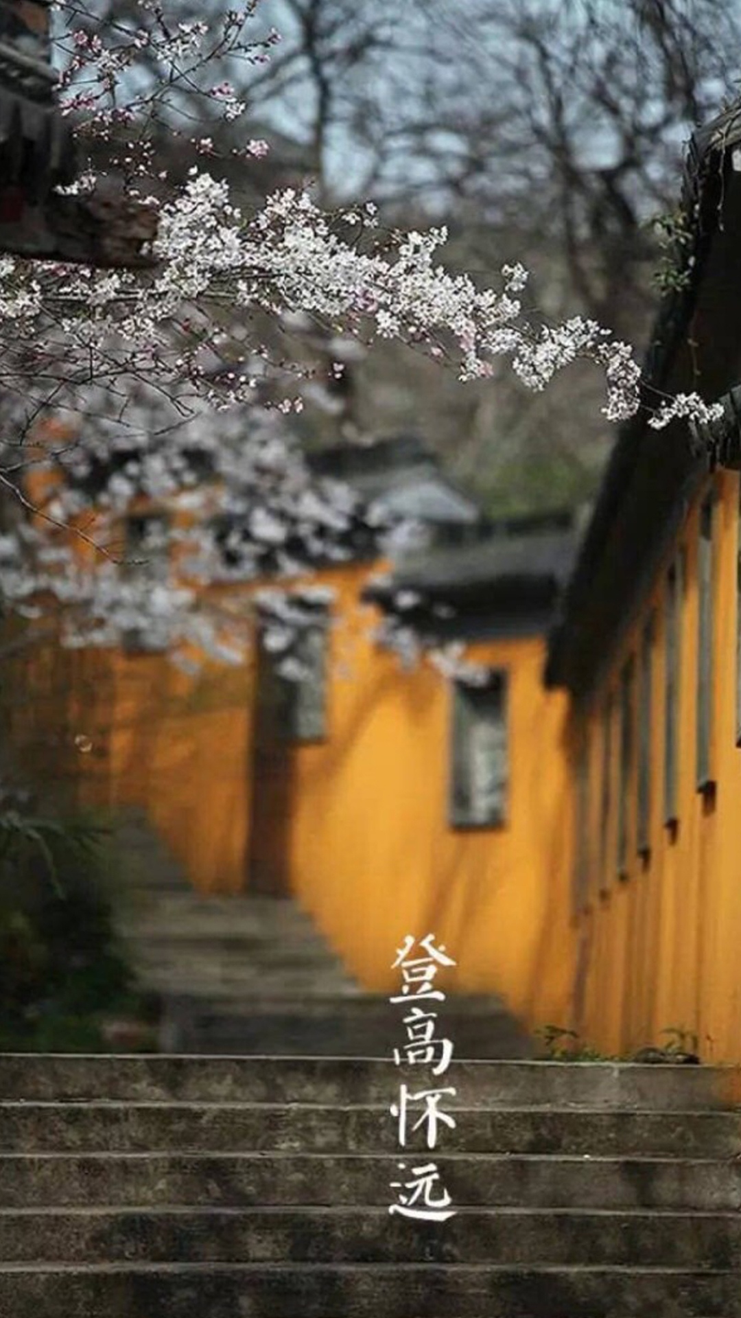 登高怀远