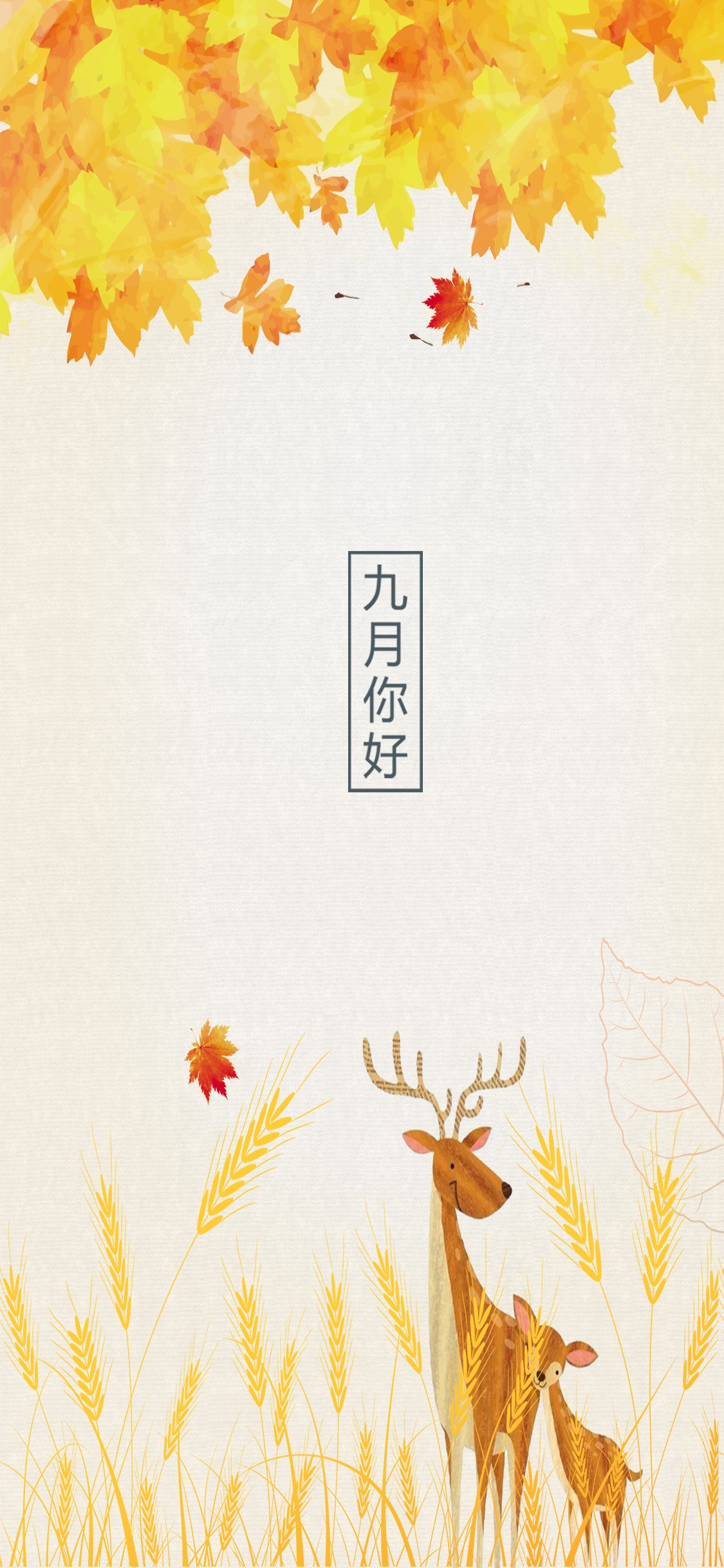 九月你好金黄色系枫叶插图
