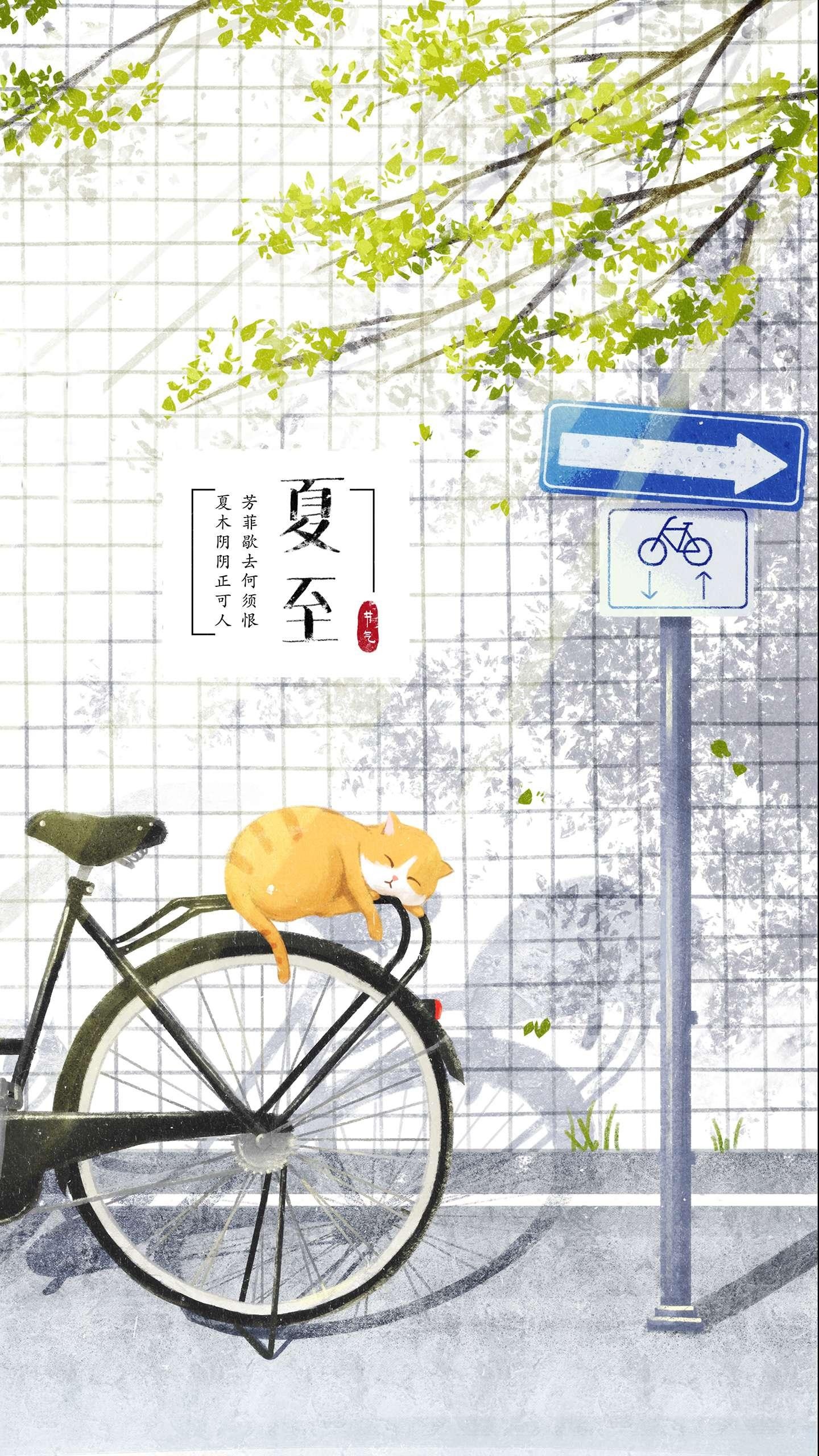 小清新夏至
