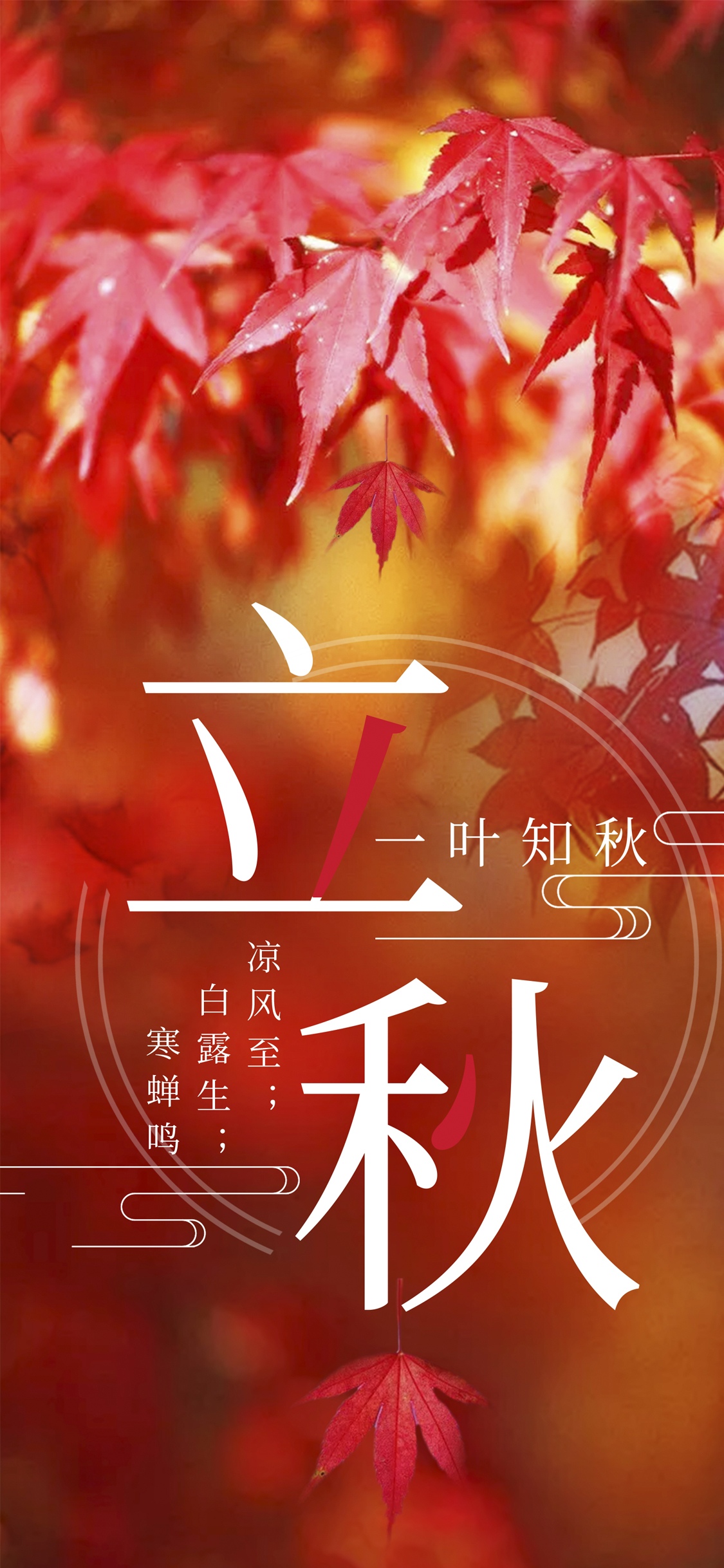 今日立秋
