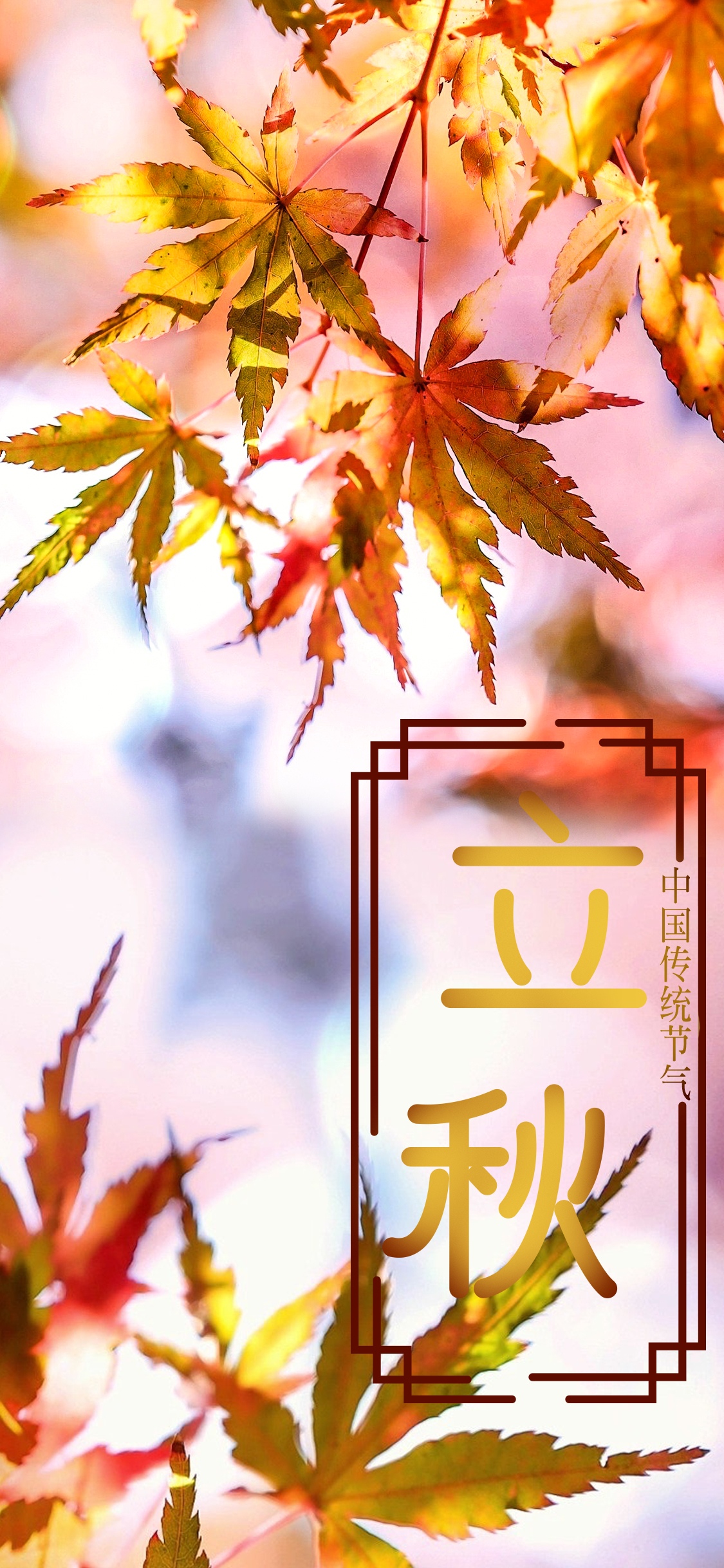 立秋时节